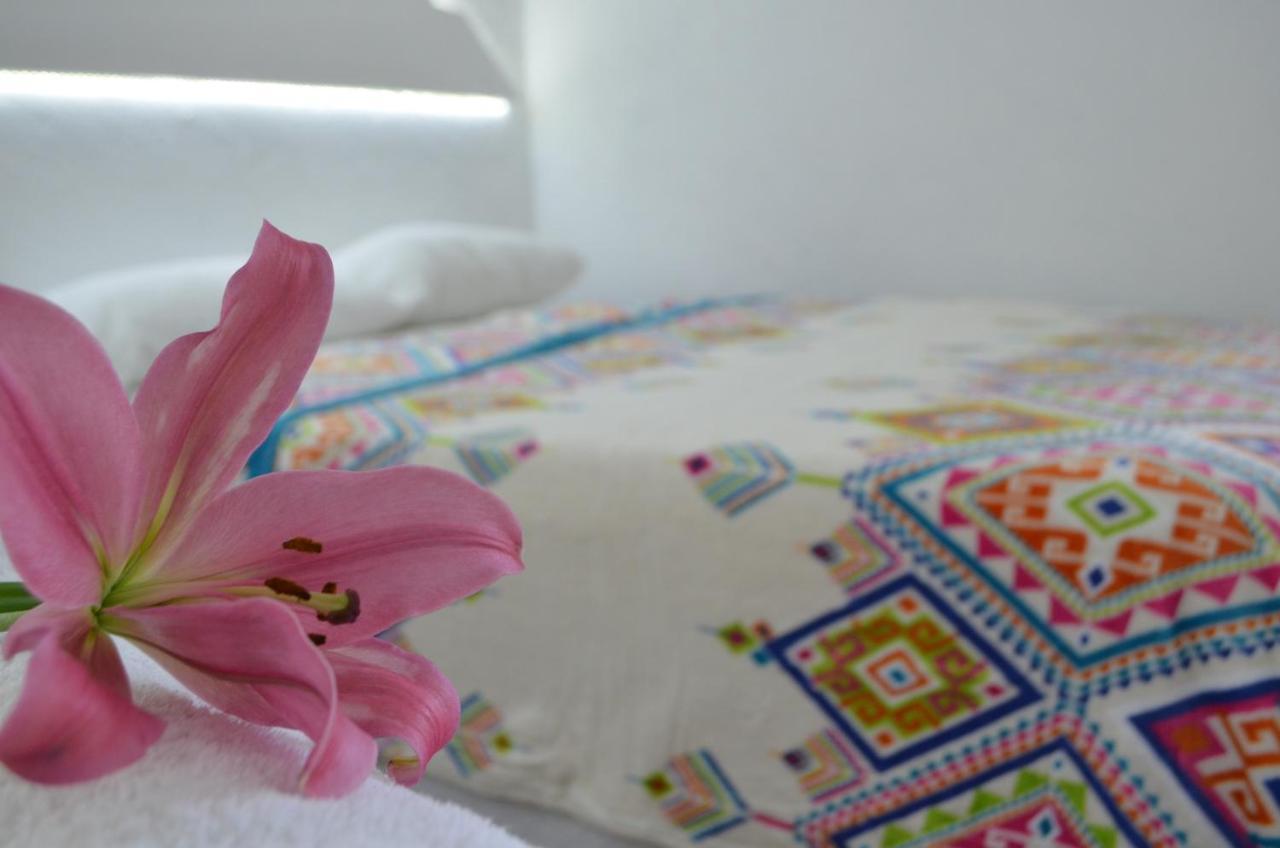 Hotel Vicalis San Juan Teotihuacan Bagian luar foto